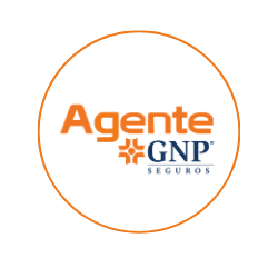 GNP